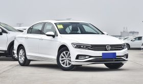 Volkswagen Magotan/2020 Model/Maotan 280TSI DSG Comfort Type