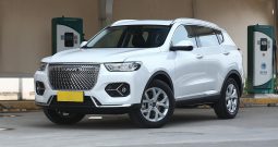 Haval H6/2021/H6 National Fashion Edition 1.5T Automatic Urban Edition